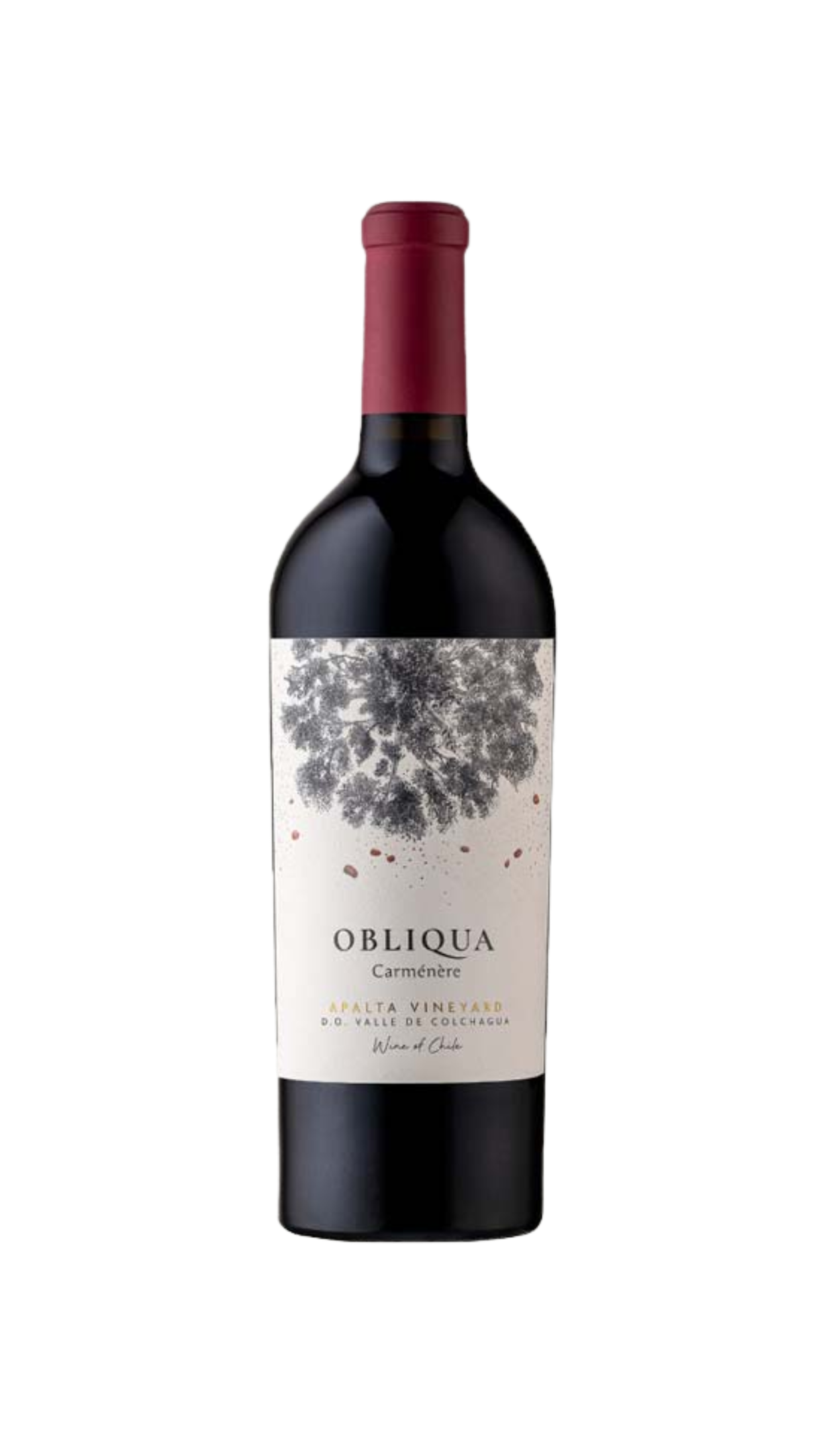 Ventisquero Valle de Apalta Carmenere "Obliqua"