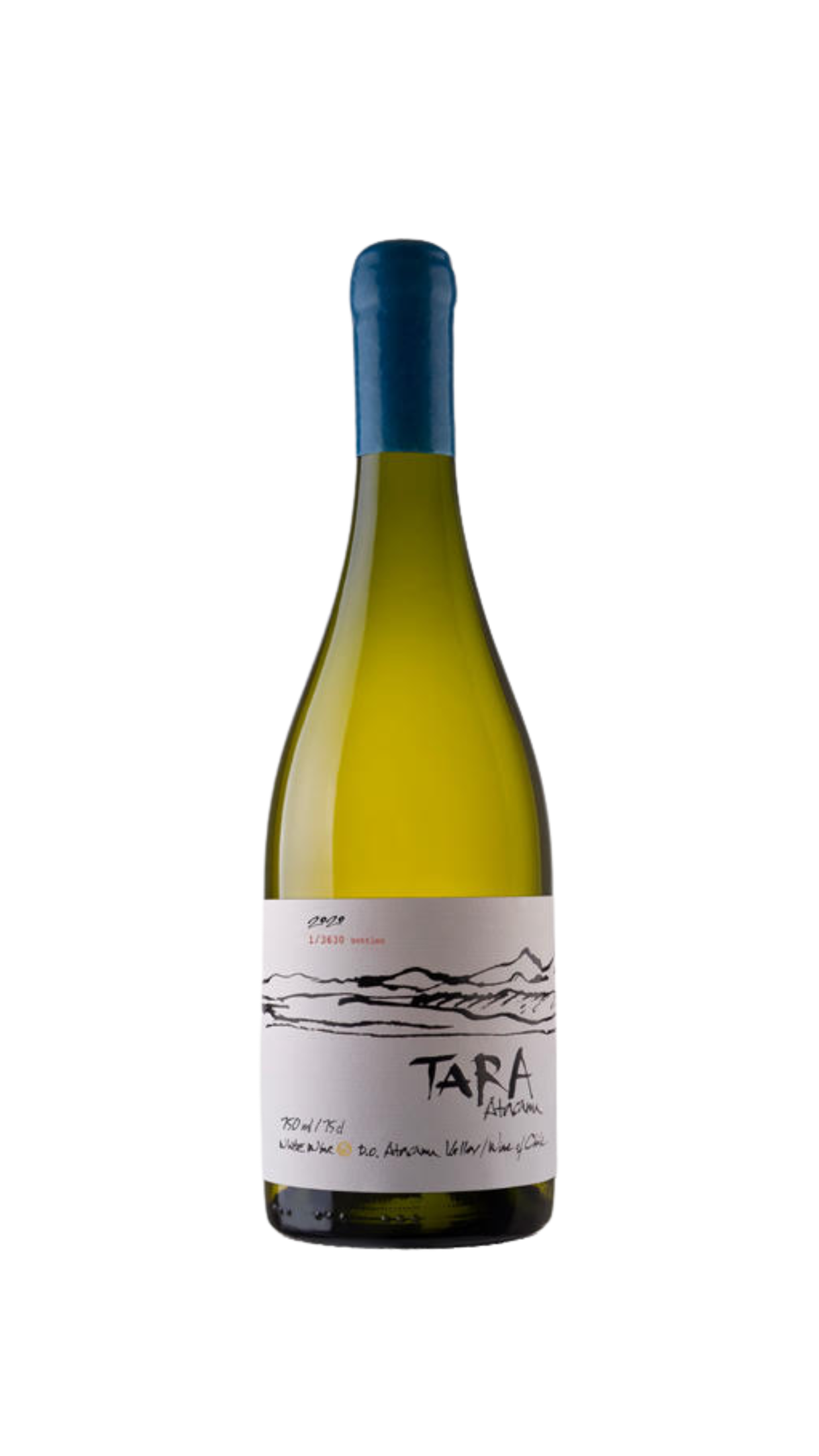 Ventisquero Valle de Atacama Viognier “Tara”